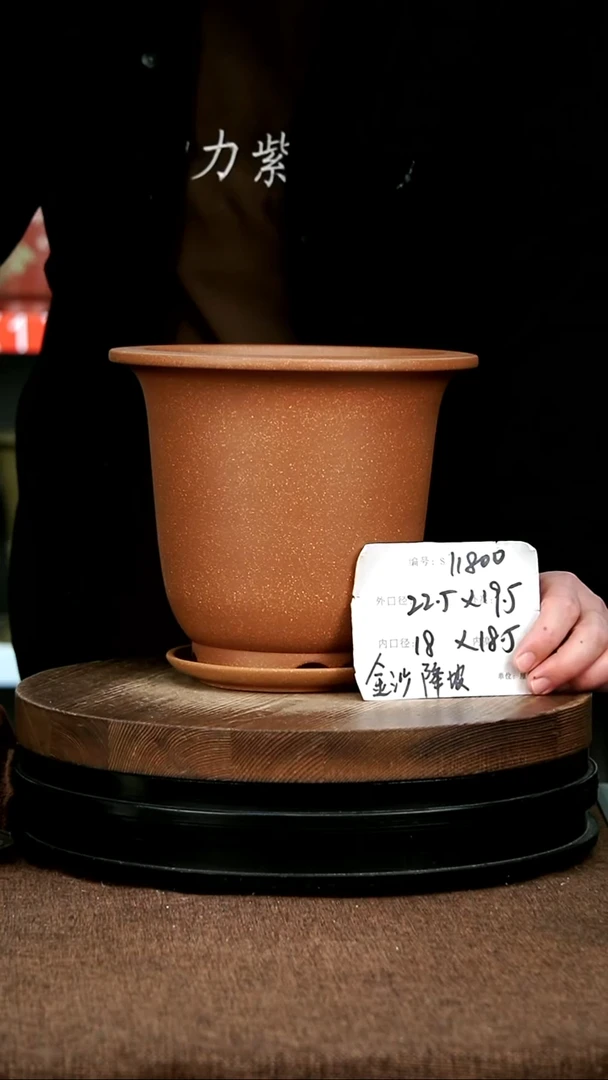 紫砂花盆花卉园艺11800+Z