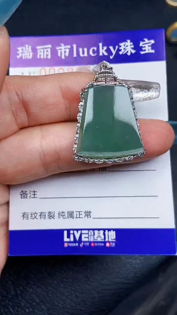 颈饰银S925镶嵌翡翠8264
