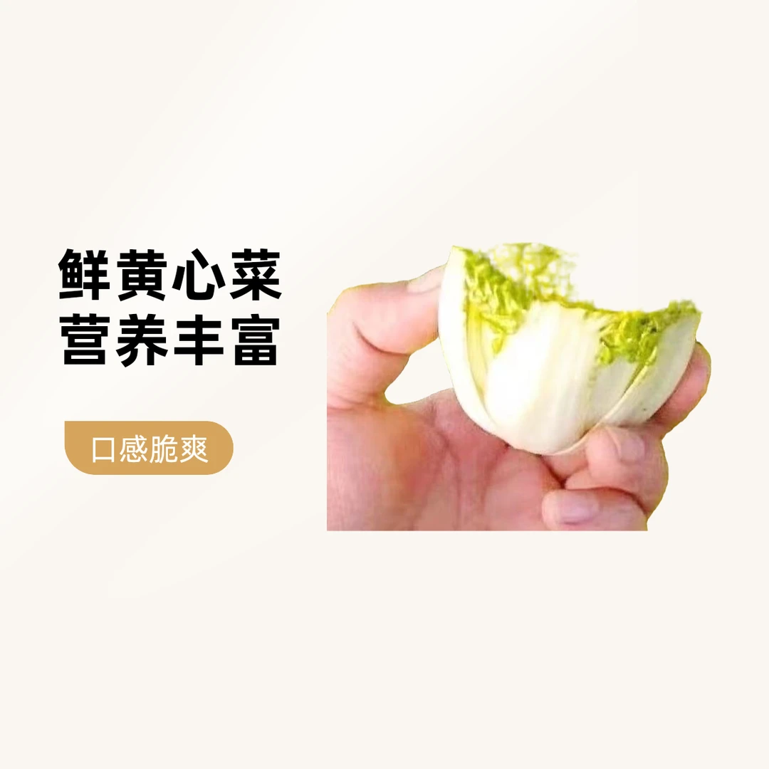 黄心菜 500g±20g