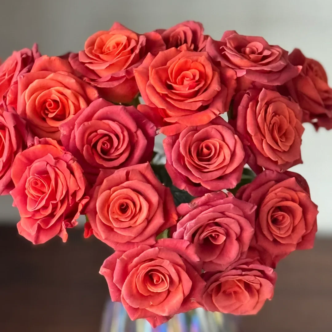 【全疆京东包邮】杏仁酒玫瑰16枝（多给4枝售后）