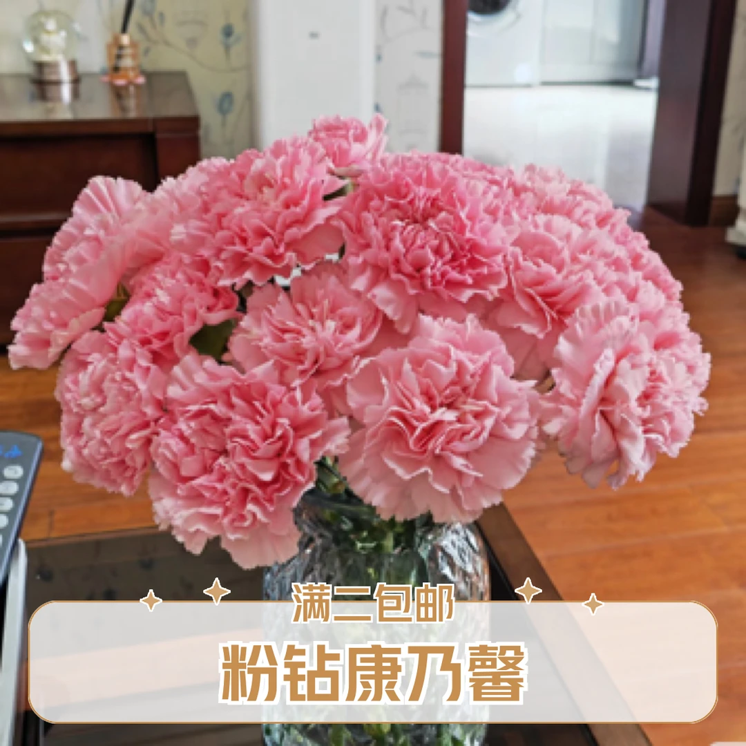 【香羿鲜花】粉钻康乃馨/全场任意满两单及以上包邮