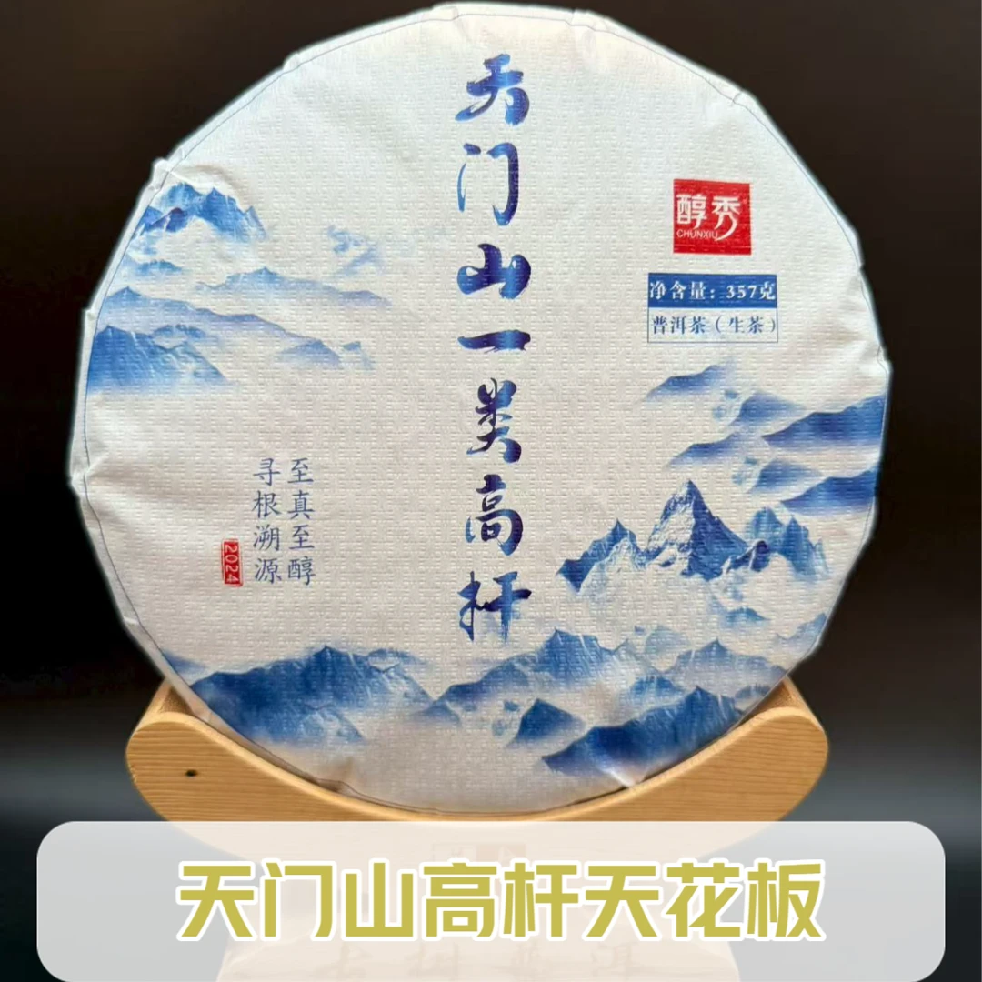 2024天门山一类高杆 边境线上原始森林的馈赠 最霸气的高杆生茶