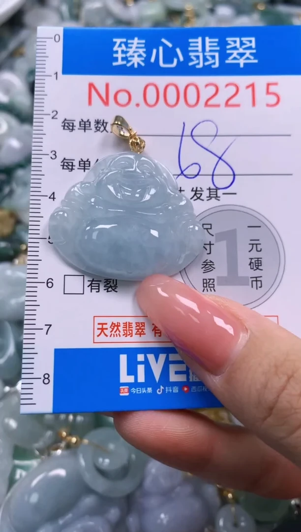翡翠未镶嵌颈饰2215