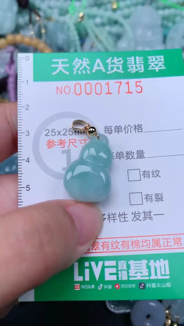 翡翠未镶嵌颈饰.0001715