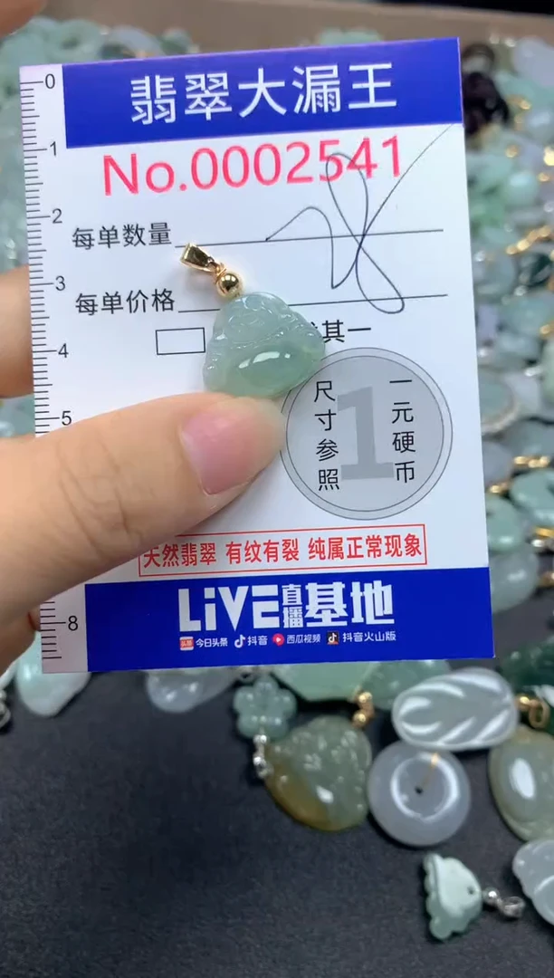 翡翠未镶嵌吊坠(不含链)2541