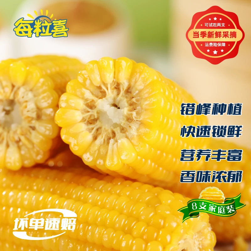 【试吃两根】内蒙敖汉旗当季真空锁鲜自然本味黄糯玉米绿糯 619
