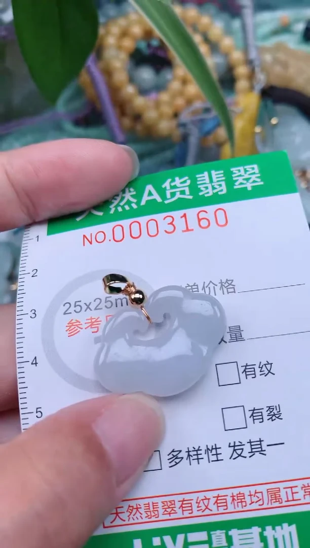 翡翠未镶嵌颈饰.0003160