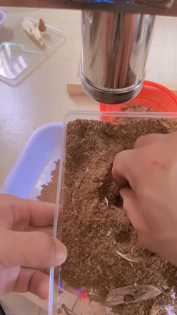 沉香沉香车珠粉10克