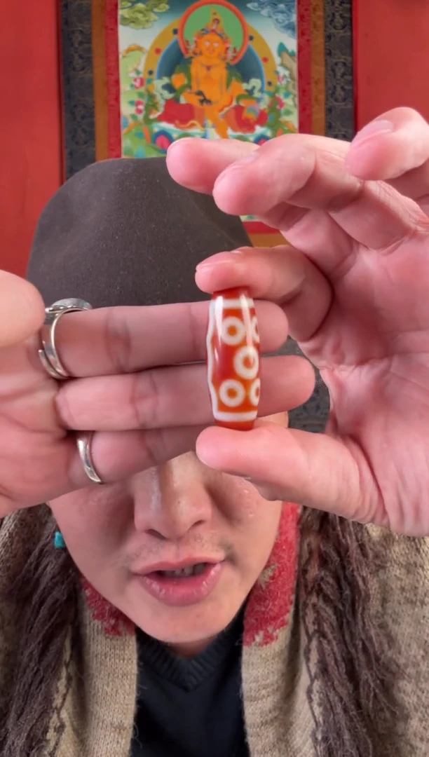 无非金属八眼红肉