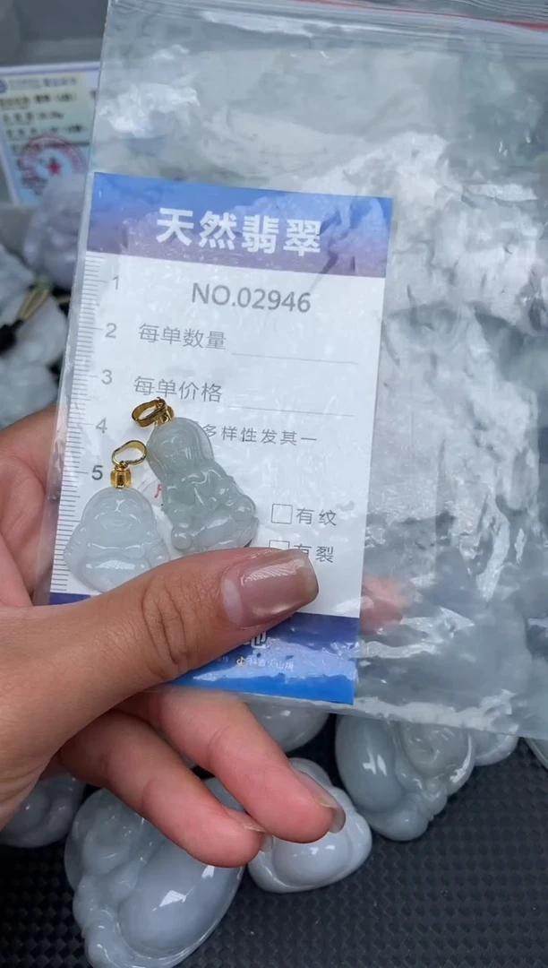 颈饰未镶嵌翡翠纯天然A货翡翠2946