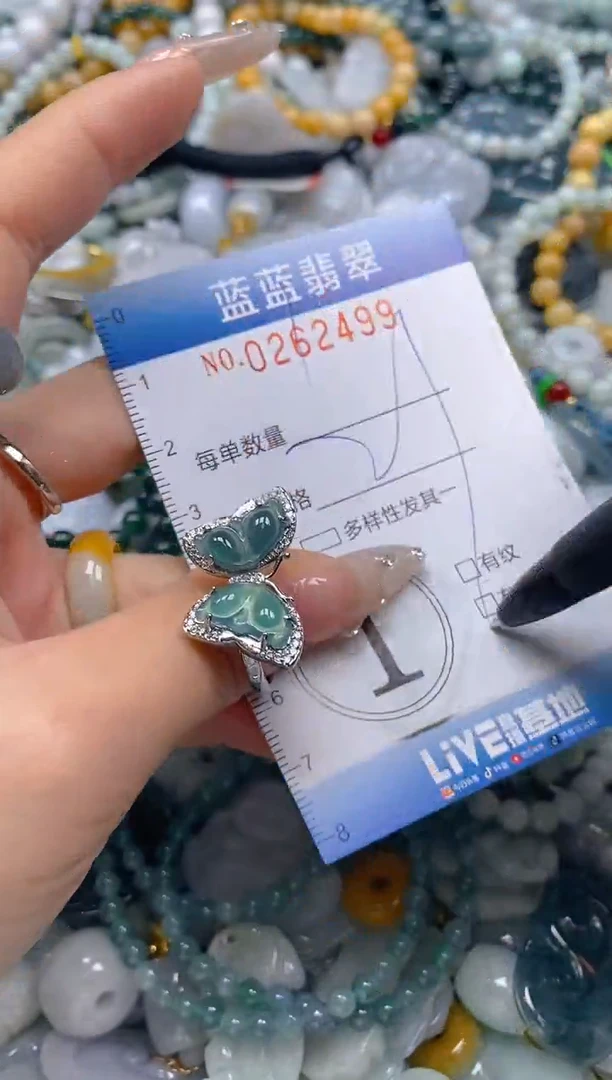 翡翠未镶嵌颈饰闪购0262499