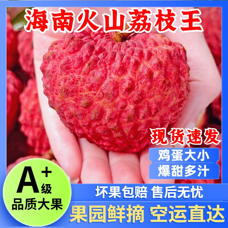 【现货空运】海南火山荔枝王5.5斤4斤永兴新鲜超特大巨无霸荔枝水果