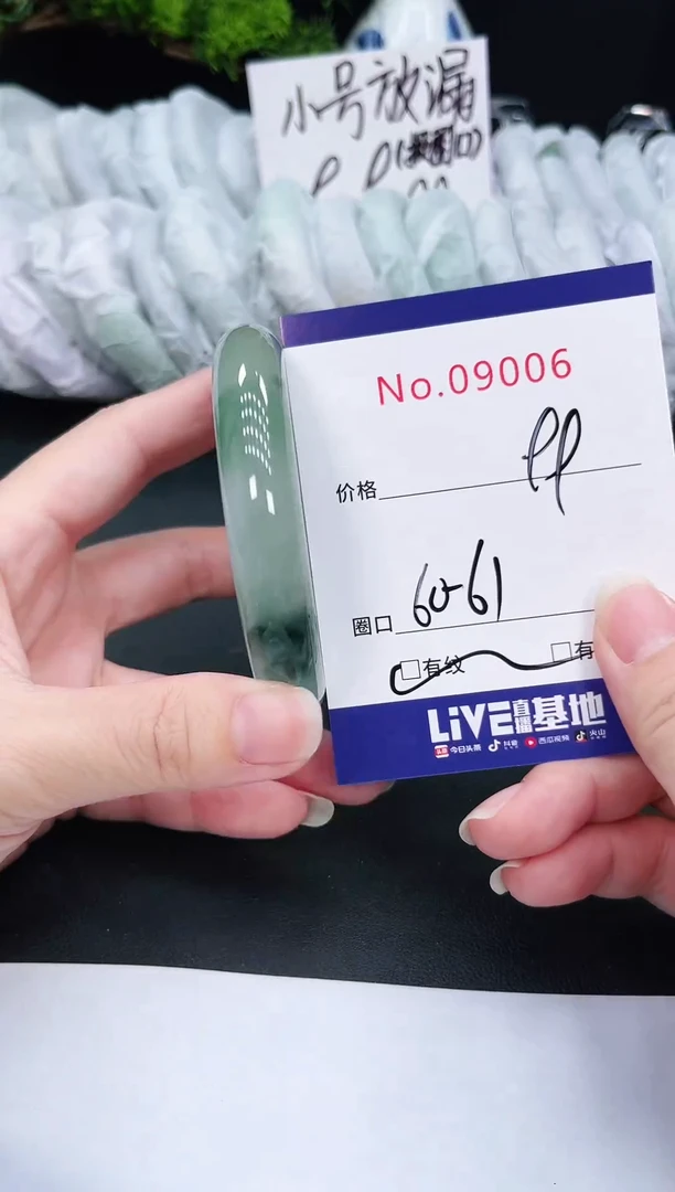 未镶嵌手镯翡翠9006
