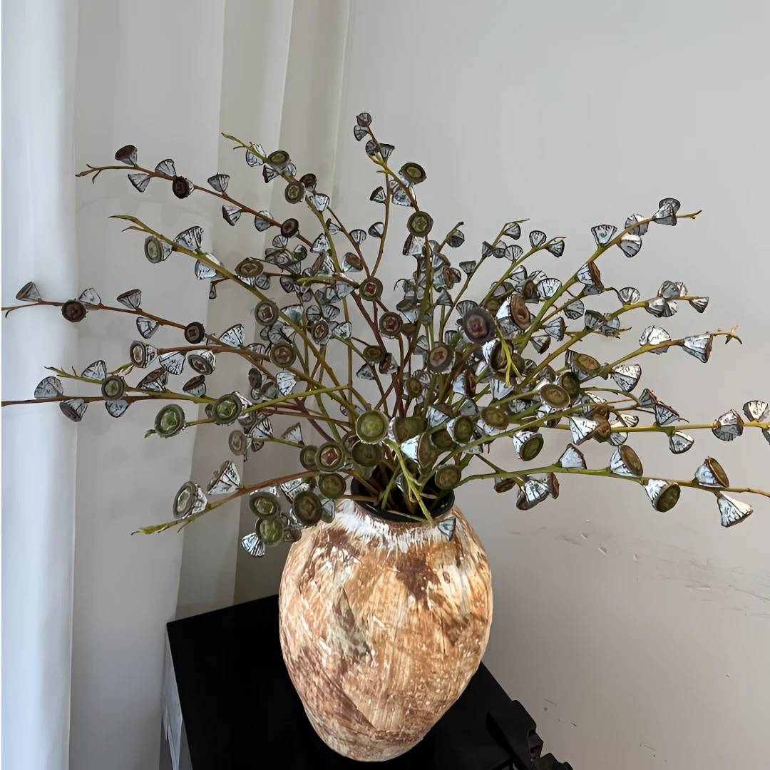 钻石尤加利果鲜花可做干花装饰云南直发任意两单顺丰冷链或鲜切花