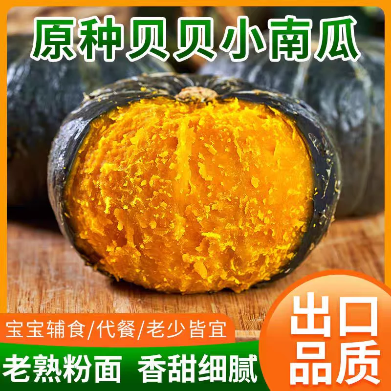 【次日达】新鲜贝贝南瓜 香甜软糯 毛重2.5公斤贝贝南瓜南瓜同城送贝贝南瓜