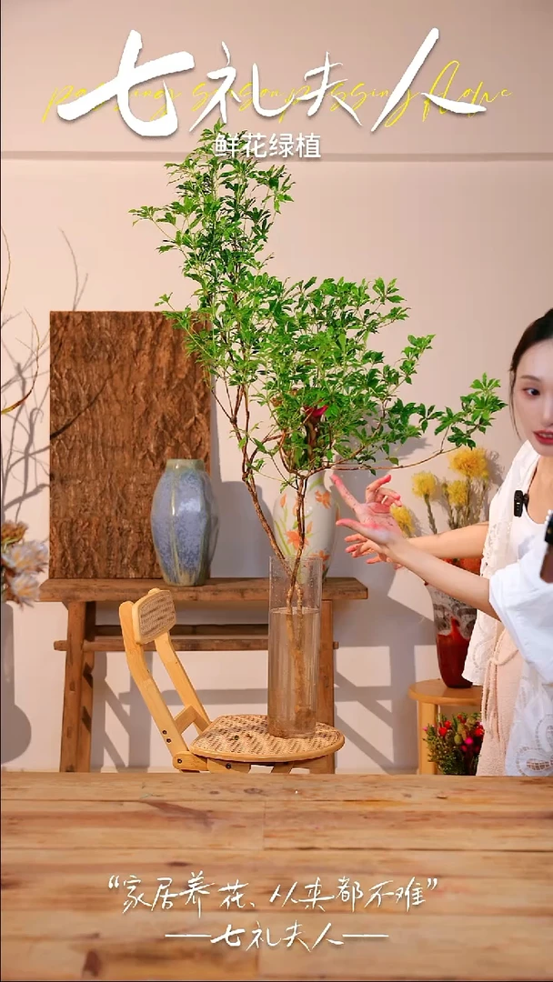 无花朵依*马醉木，一物一拍