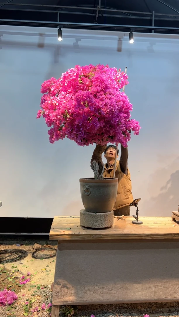 【闪购商品】aa937