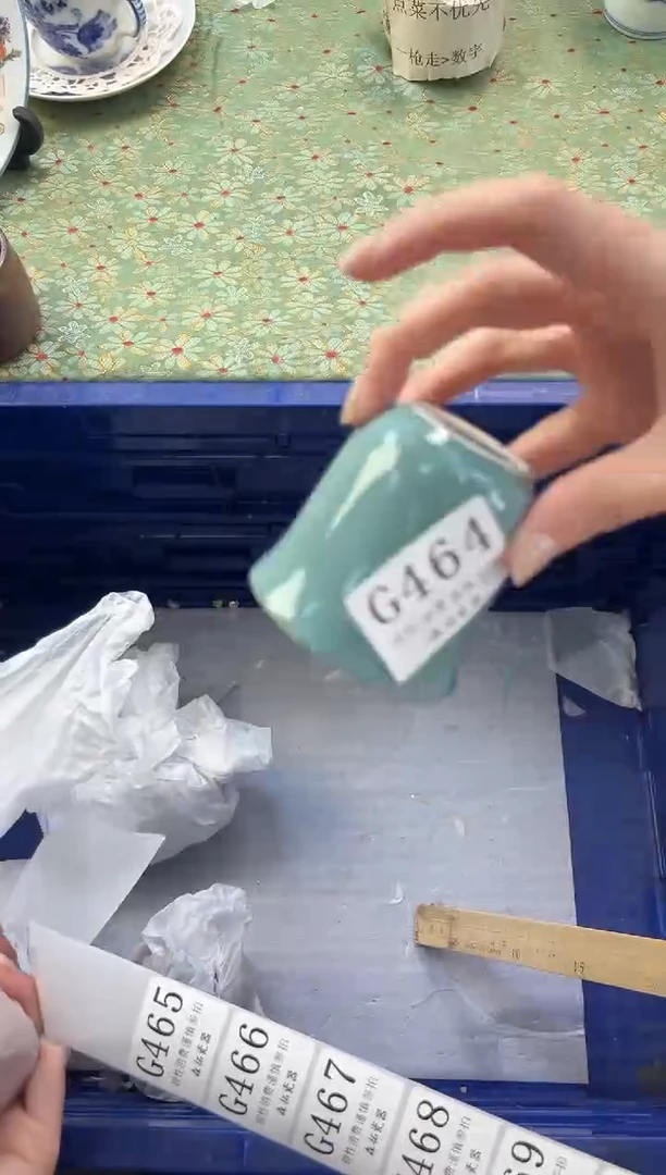 【闪购商品】瓷片          G464