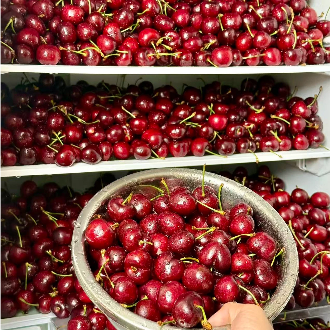 【净重5斤】智利桑提娜车厘子 J-4J内附果径卡 顺丰空运