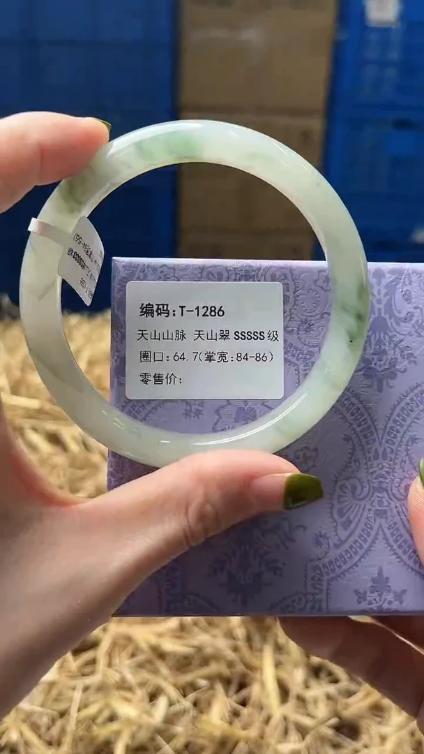 未镶嵌手镯石英质玉T1286