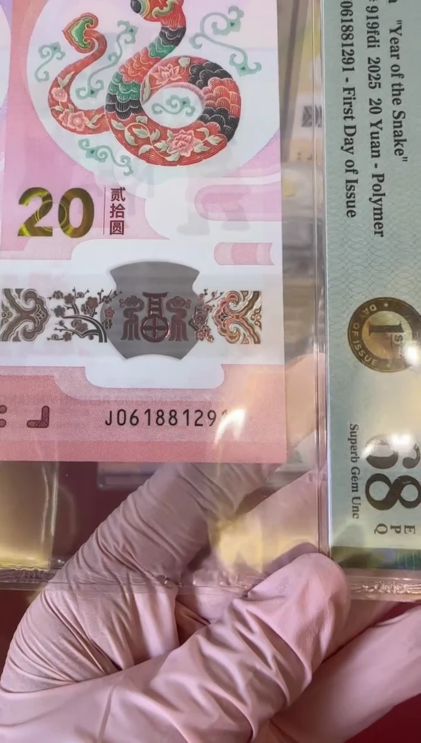 【闪购商品】塑料25蛇钞061881291单张裸