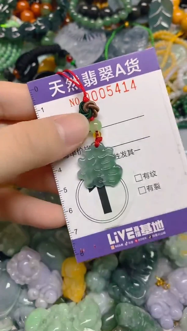 颈饰未镶嵌翡翠0005414