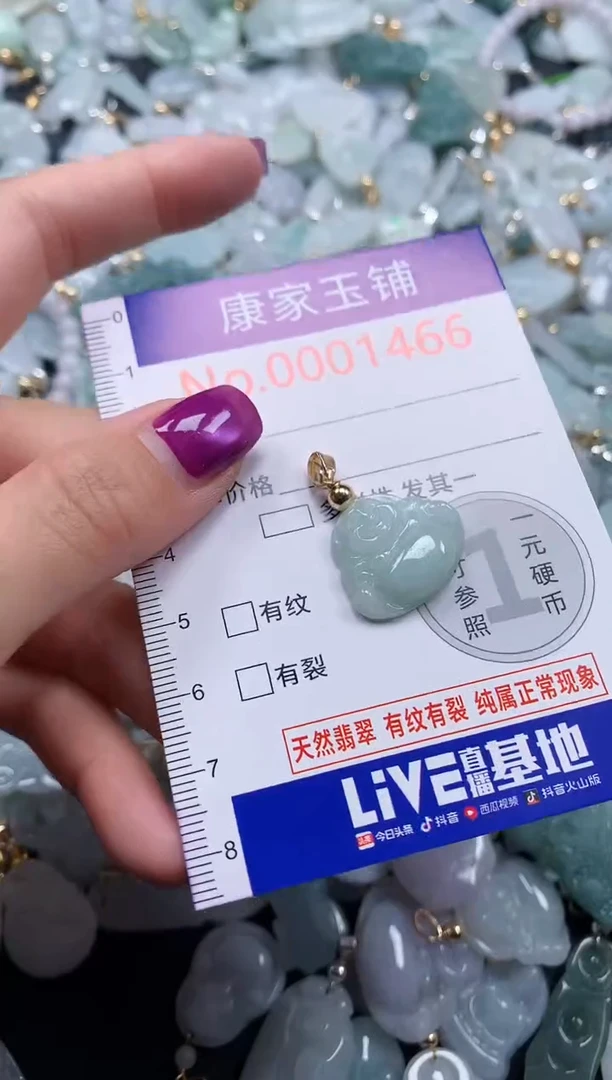 颈饰未镶嵌翡翠1466