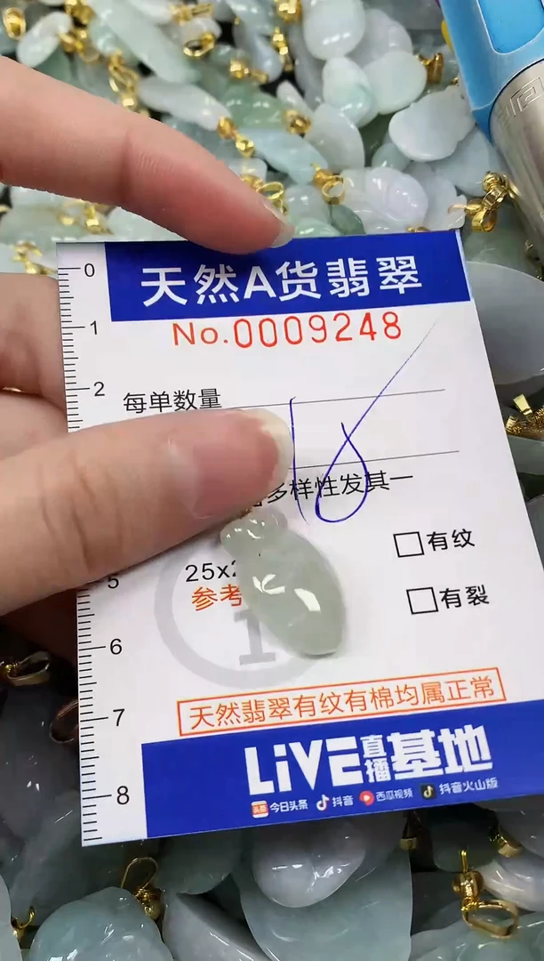 颈饰未镶嵌翡翠纯天然a货翡翠