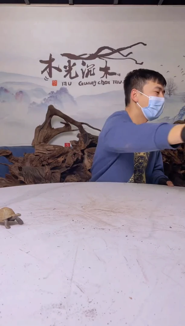 【闪购商品】A125木光沉木木光沉木