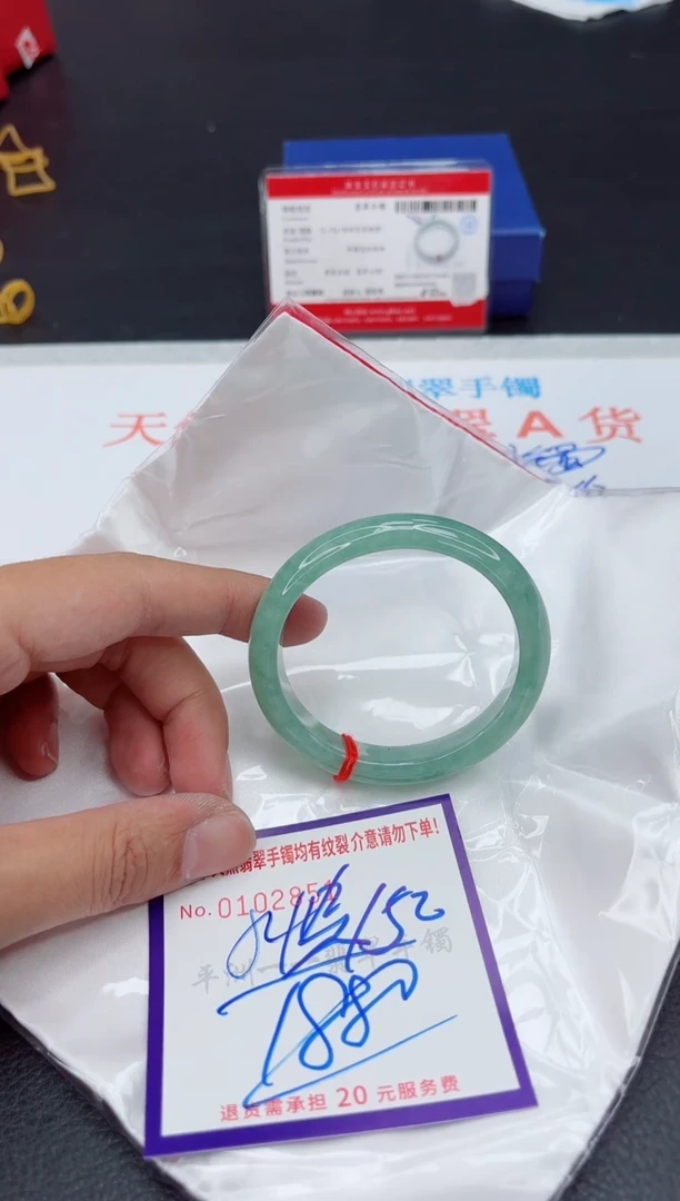 未镶嵌手镯翡翠11111111