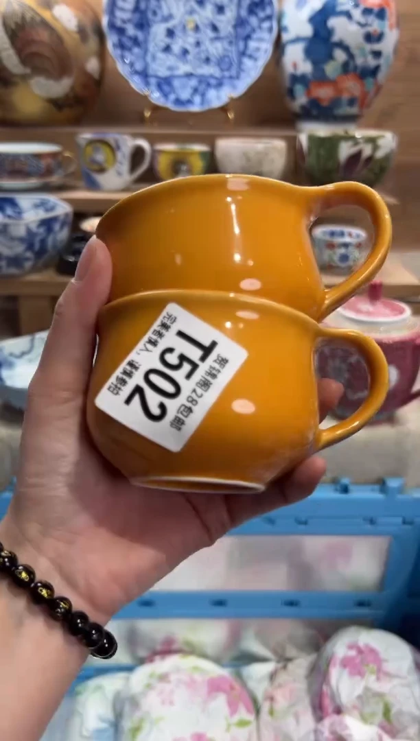 瓷片一*.     T502