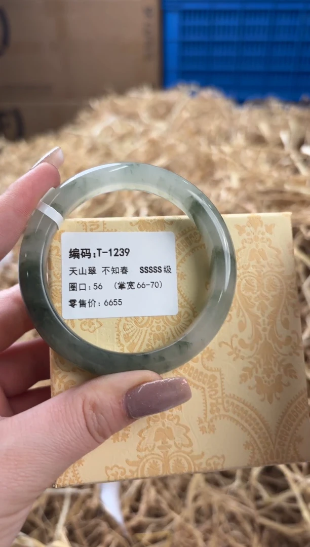 未镶嵌手镯石英质玉T-1239