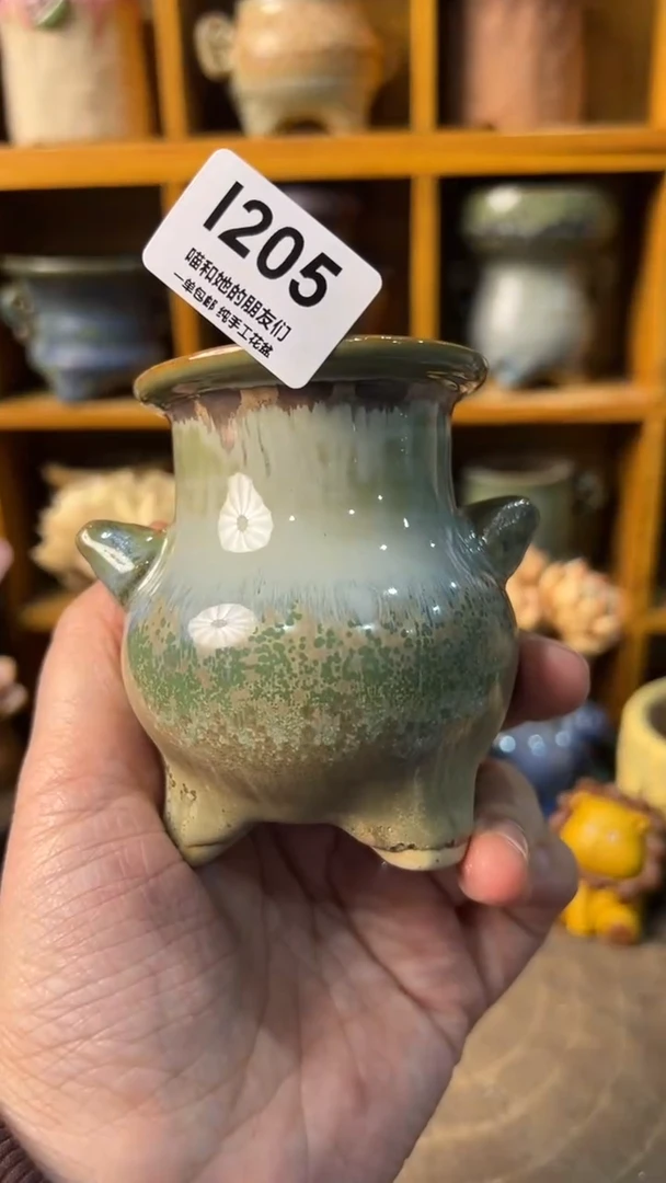 205 内口4.5【多肉花盆多肉盆】