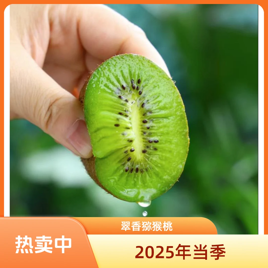 【中通包邮产地直达】陕西周至翠香绿心猕猴桃单果50克起10-35枚装