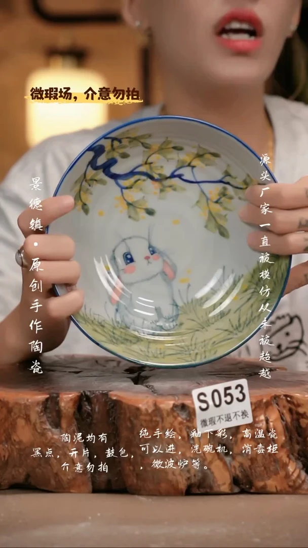 其他WS053新十二器