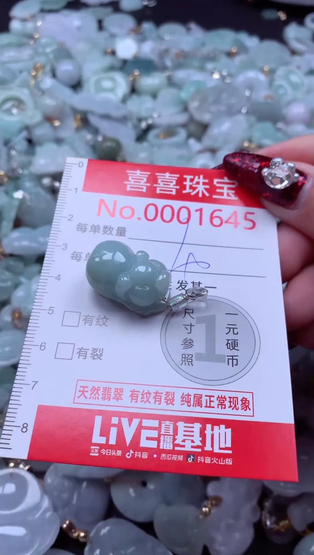 颈饰未镶嵌翡翠1645