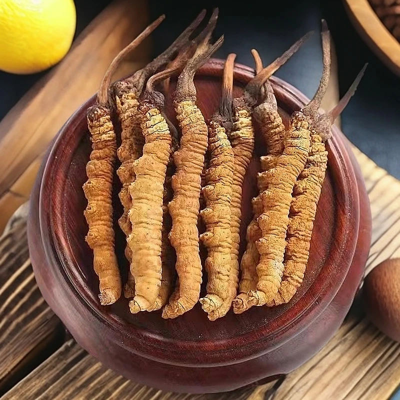 正宗藏区高海拔冬虫夏草整根新草干货可滋补食用泡水精选品质虫草