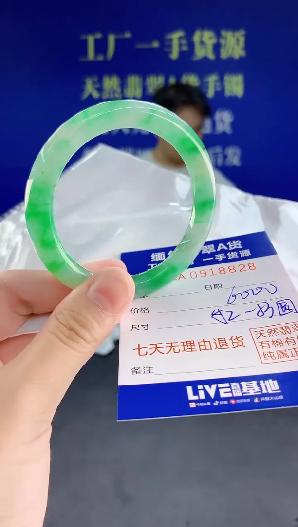 未镶嵌手镯翡翠28