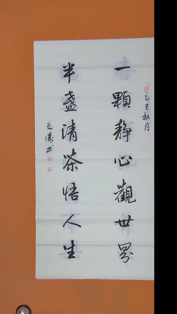 书法辛文涛老师精美作品138*69