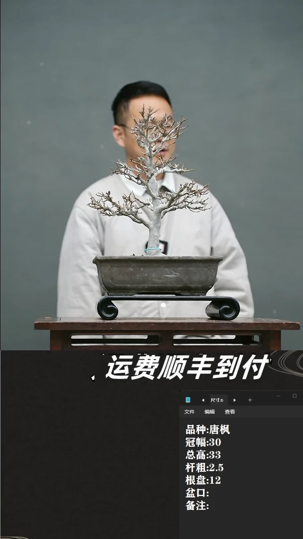 【闪购商品】38 唐枫