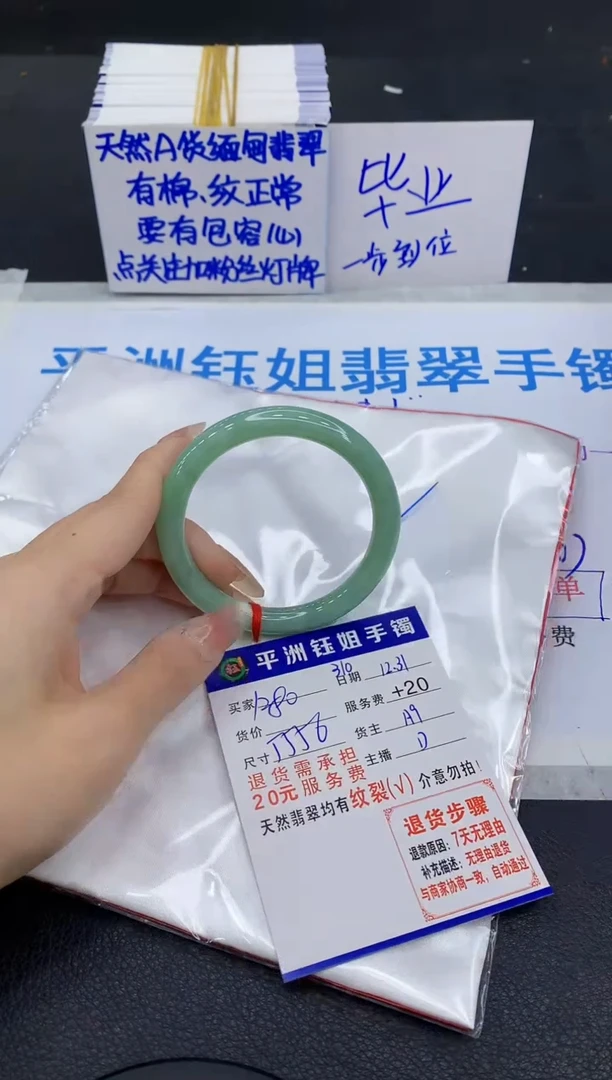 未镶嵌手镯翡翠1