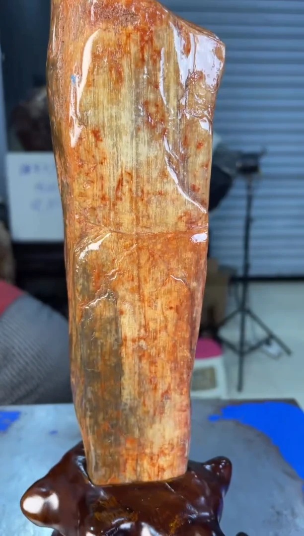 未镶嵌摆件硅化玉33