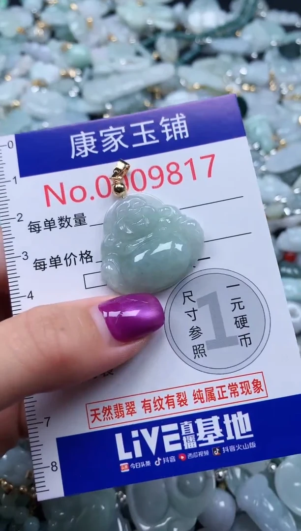 颈饰未镶嵌翡翠9817