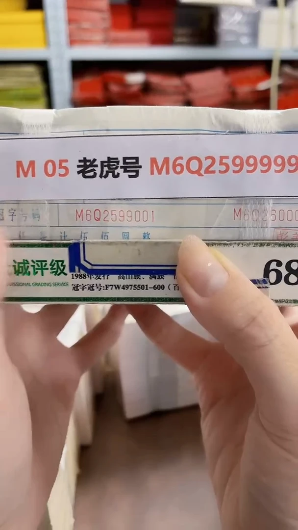 M 05 老虎号 M6Q2599999