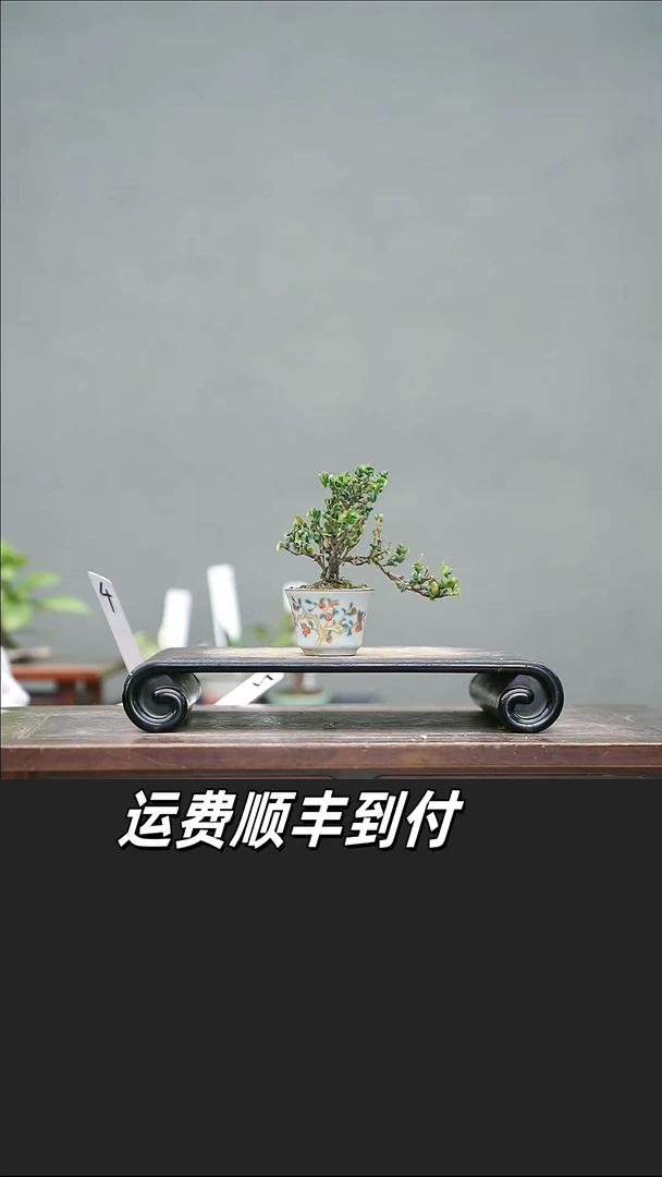一****活4