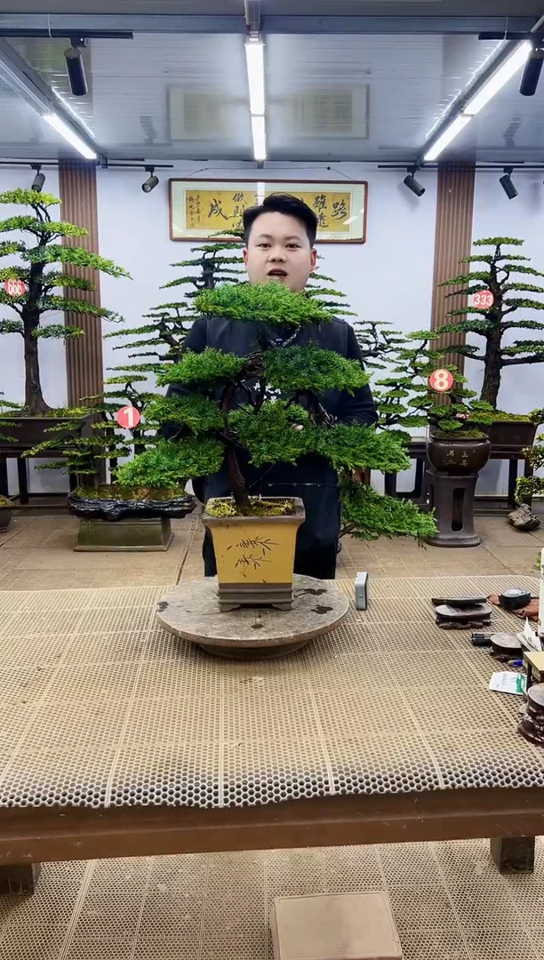 【闪购商品】0000000000