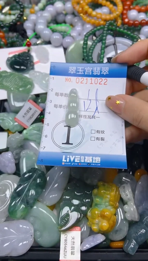 颈饰未镶嵌翡翠闪购C0211022