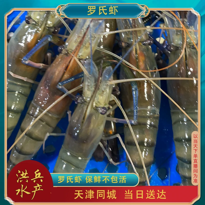 【保鲜不保活】罗氏虾 三斤-五斤