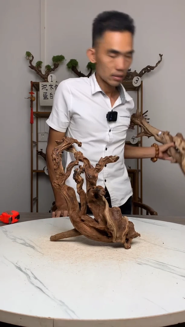 美****铺鱼缸造景沉木摆件