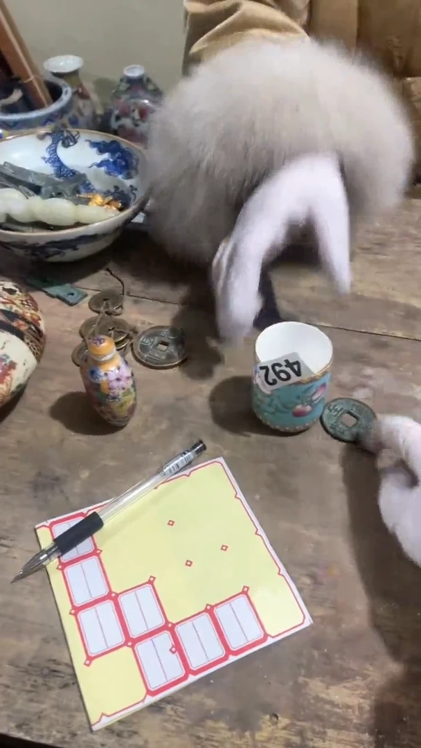 【闪购商品】瓷器一个小瓷器喜欢就拍。。。。。。